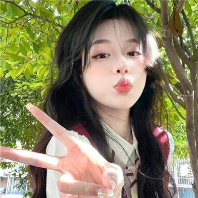 网中的太阳
